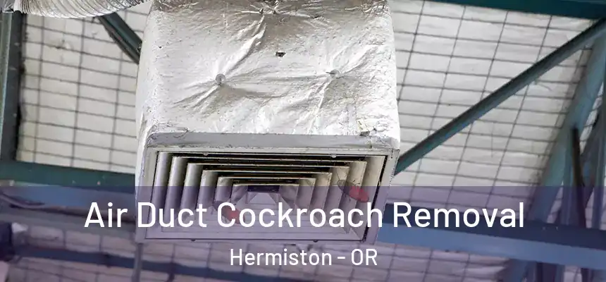  Air Duct Cockroach Removal Hermiston - OR