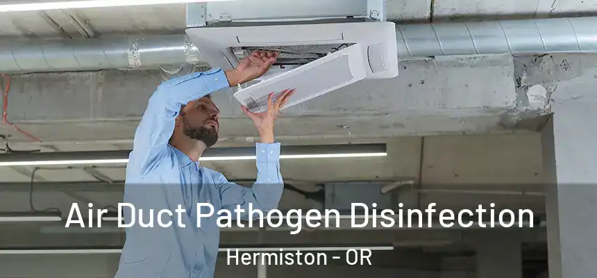  Air Duct Pathogen Disinfection Hermiston - OR