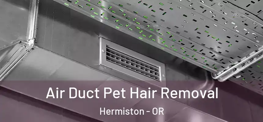  Air Duct Pet Hair Removal Hermiston - OR