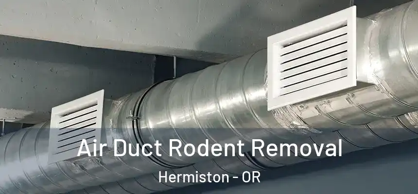  Air Duct Rodent Removal Hermiston - OR
