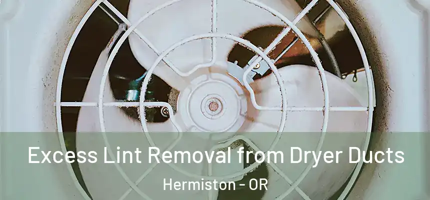  Excess Lint Removal from Dryer Ducts Hermiston - OR