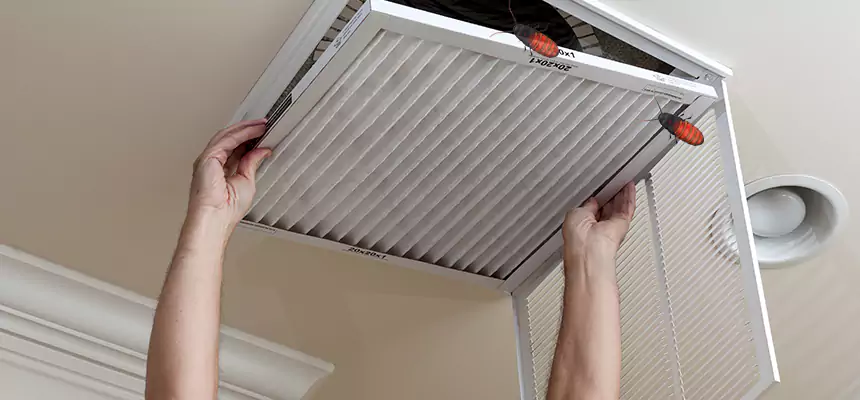 Preventive Cockroach-Proofing for Ducts in Hermiston
