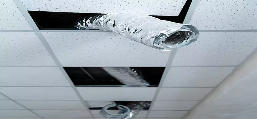 Affordable HVAC Sanitizing After Pest Removal in Hermiston