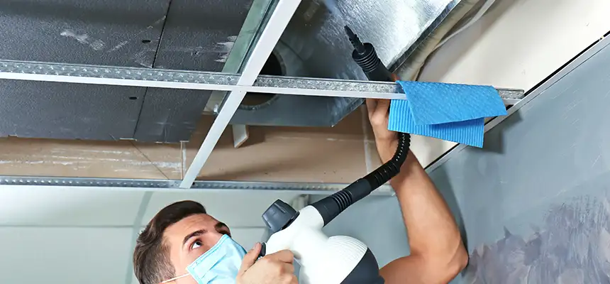 Our Air Duct Rodent Removal Services in Hermiston, OR