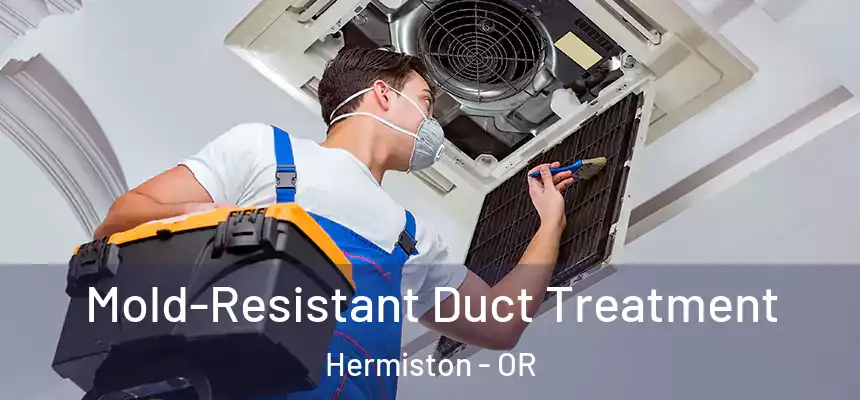  Mold-Resistant Duct Treatment Hermiston - OR