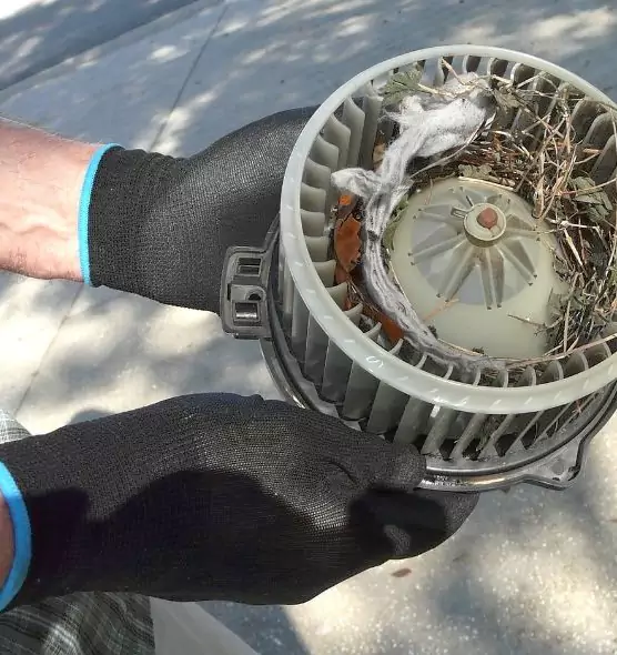 About Air Duct Rat Removal in Hermiston, OR