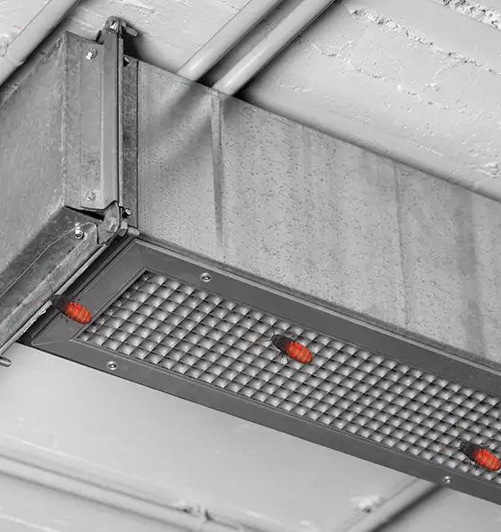 Affordable Insect Removal from Air Ducts in Hermiston, OR