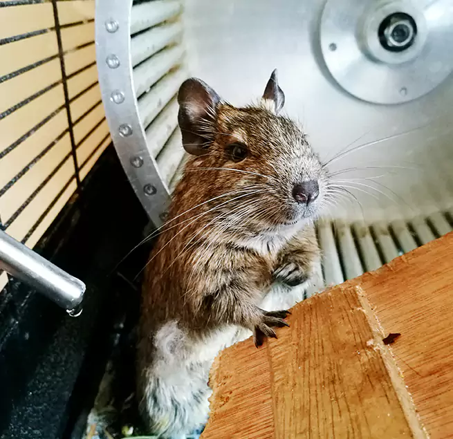 Why Homeowners & Businesses Trust Us Hermiston, OR